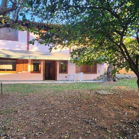 Studio Jardim Пиндамоньянгаба Экстерьер фото